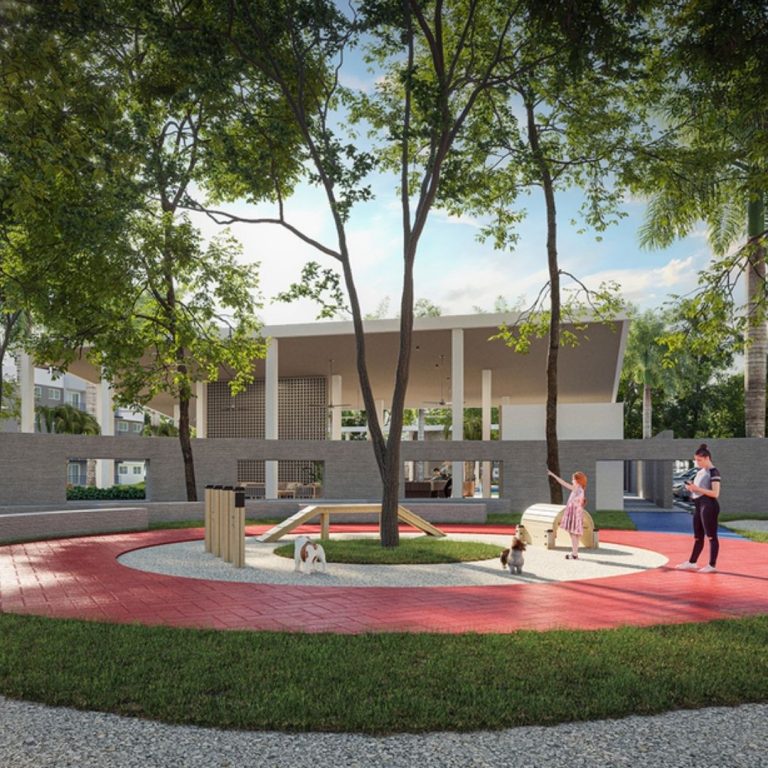 fotos PALMAS 4_4 parque